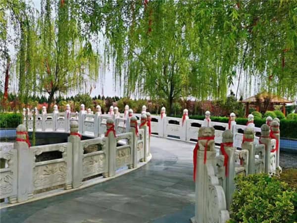 生命與自然共生:樹葬詮釋“入土為安”的新內涵
