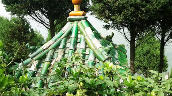 火化后骨灰是否可以帶回家的解答