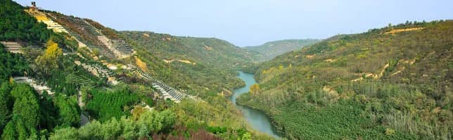 樹葬地點是否便于家屬定期探望?全面解析