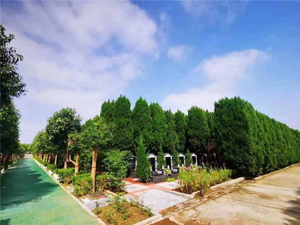 清明節:農耕節氣與春和景明的“求新護生”時節