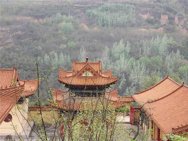 墳邊栽樹離2米是否合適的解答