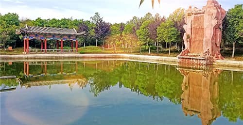 樹葬年限是多少年?你知道這種安葬方式的規定嗎?