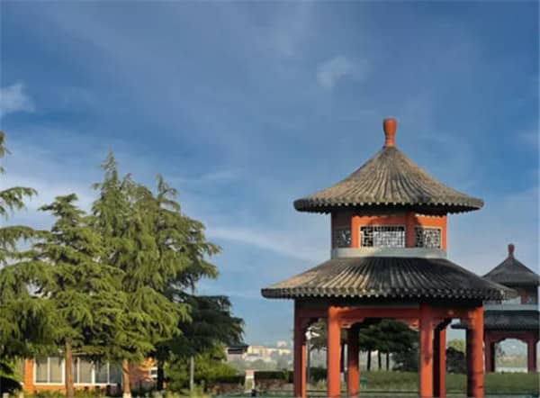 生態(tài)葬的特點(diǎn)是什么?生態(tài)葬種類(lèi)有哪些?