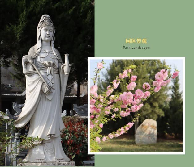 為何要為逝者整理容貌?如何操作更得體?