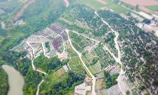 外國人在中國買墓地可以嗎?政策與條件解析