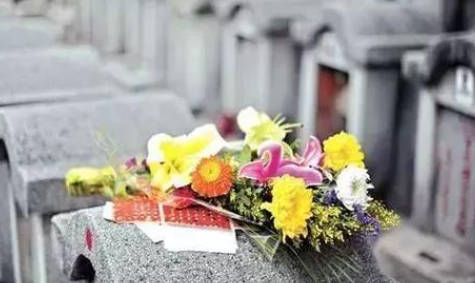 三周年紀(jì)念日,如何選擇合適的貢品?