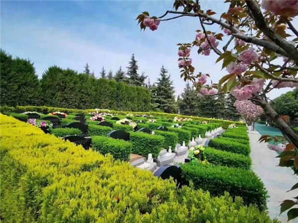 西安墓地在什么位置,購買墓地須知