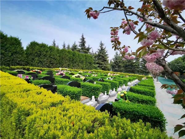 西安墓地的使用年限是如何規定的,到期后應該如何處理?