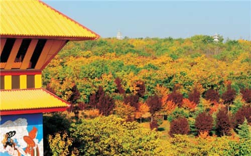 西安墓園樹葬的推廣和普及面臨哪些挑戰(zhàn)?