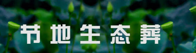 清明節掃墓的具體時間段有哪些講究?