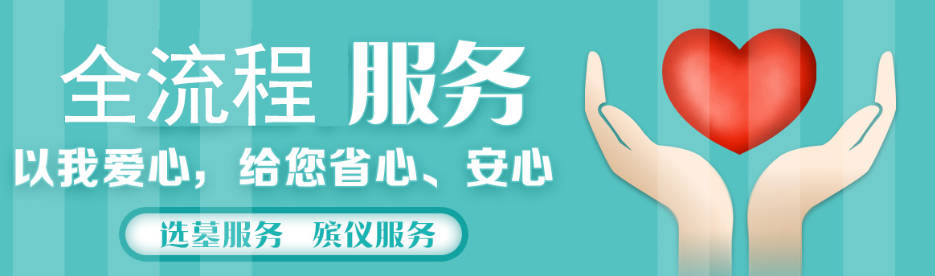 西安樹葬與傳統墓葬:一場殯葬方式的革新對比
